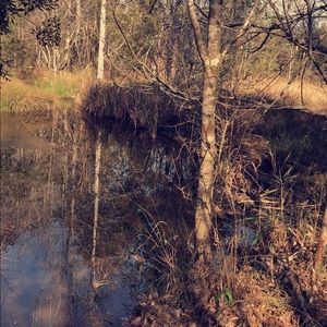 Meet your Posher, Mariah